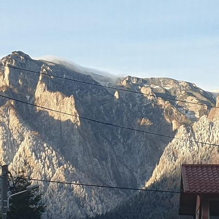 Mountain Break Azuga Ski Εξωτερικό φωτογραφία