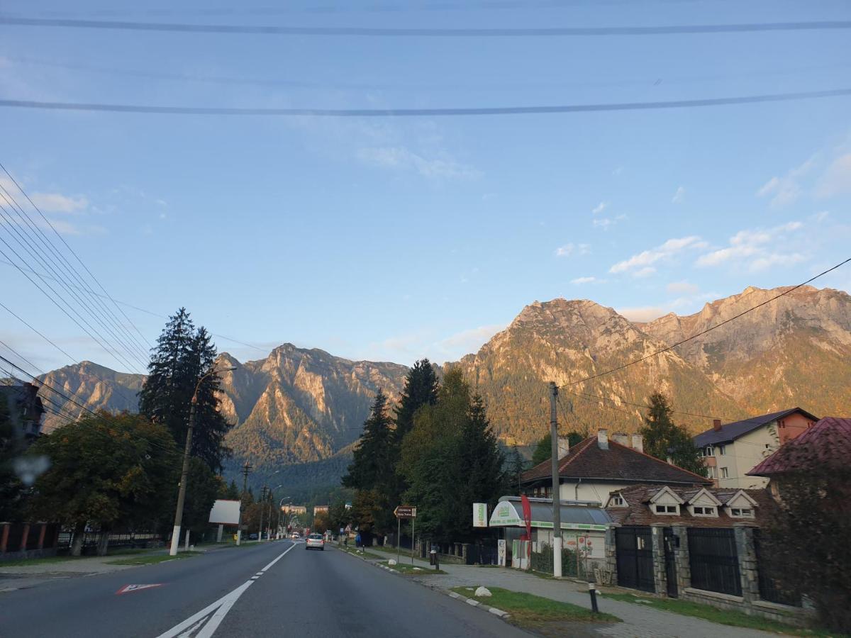 Mountain Break Azuga Ski Εξωτερικό φωτογραφία
